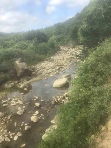 Eliyle balık tutmaya çalışırken taşa sıkıştı, boğularak hayatını kaybetti
