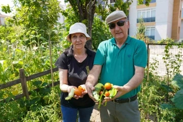 Emekli çifti Gönüllü Bahçesinde 26 çeşit ürün elde etti
