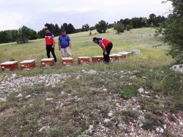 Emet’te ayılar tarafından kovanları parçalanan yetiştiriciye arkadaşlarından destek
