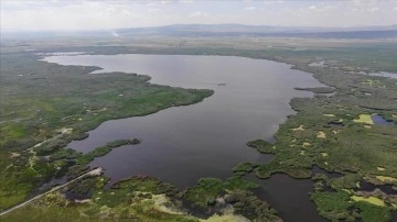 Endemik bitki ve hayvan popülasyonu zengini Eber Gölü'ne yağışlar yaradı