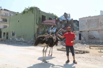 Enkaz kentte ilginç görüntü, başta kimse nereden geldiklerini anlayamadı
