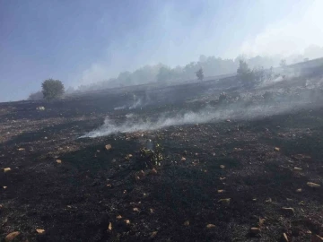 Ergani’deki örtü yangını 10 saat sonra kontrol altına alındı
