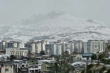 Ergani kar yağışı sonrası beyaza büründü
