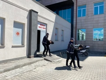 Erzincan’da 2 kaçak göçmen yakalandı, 2 kişi tutuklandı
