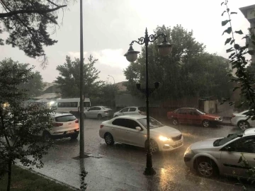 Erzincan’da dolu yağışı etkili oldu
