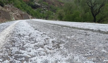 Erzincan’da dolu yağışı etkili oldu
