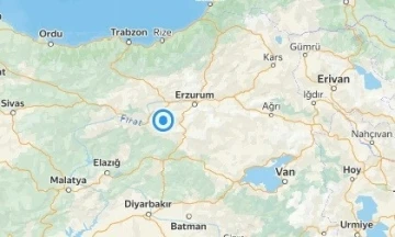 Erzincan’da gece hafif şiddetli 3 deprem yaşandı
