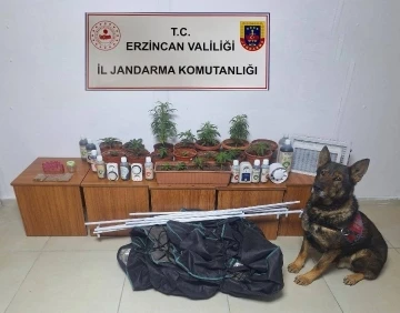 Erzincan’da jandarma ekipleri suç ve suçluya geçit vermiyor
