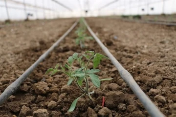 Erzincan Kent Tarım Projesi başlıyor, sera yatırımı artacak
