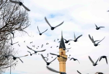 Erzurum’da bin 601 cami bulunuyor
