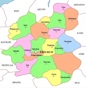 Erzurum ilçe nüfusları açıklandı

