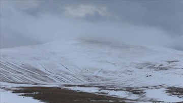 Erzurum ve Ardahan il merkezi ile Kars'ın yüksekleri karla kaplandı