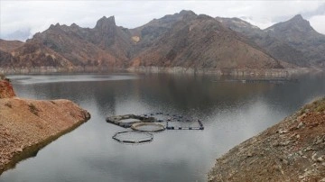 Erzurum'daki tesiste devlet desteğiyle üretilen 360 ton balığın çoğu ihraç ediliyor