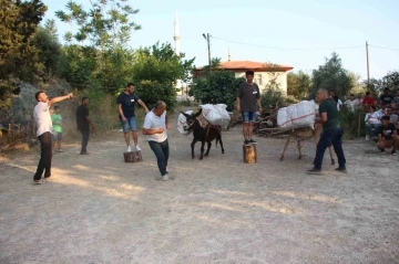 Eşeğe saman balyası yüklemek için kıyasıya yarıştılar
