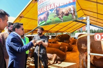Esenyurt Belediye Başkanı Özer kurban pazarını ziyaret etti
