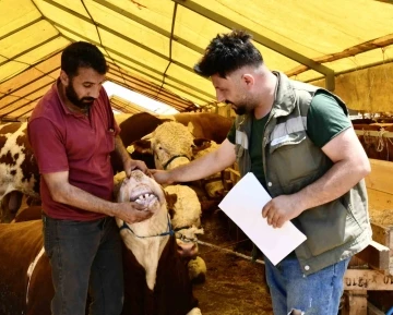 Esenyurt’ta kurbanlıklara sıkı kontrol
