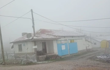 Eskişehir’de sis ve don olayı etkili oldu
