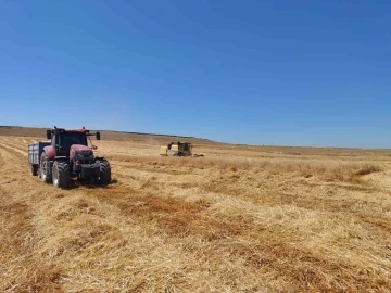 Eskişehir’de yulaf hasadı başladı
