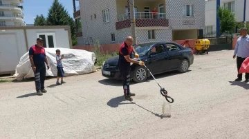 Evin bahçesine giren yılan yakalandı
