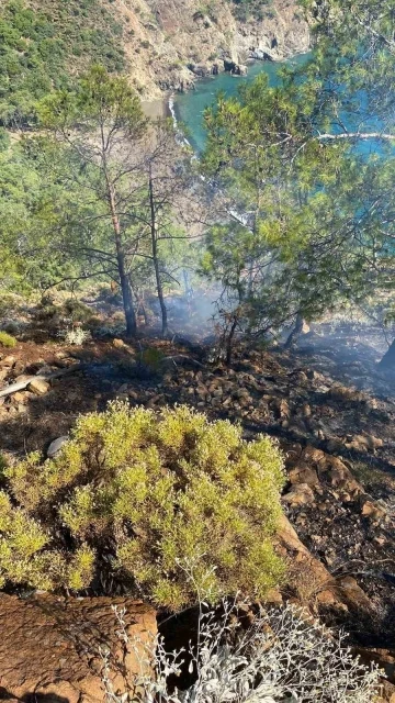 Fethiye İnlice Koyu’nda çıkan orman yangını söndürüldü
