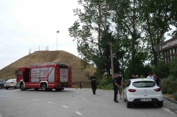 Fırtına ağacı kökünden söktü: 1 otomobil zarar gördü
