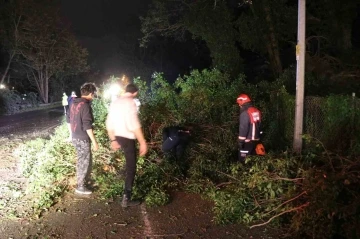 Fırtına, Sakarya’nın turistik ilçesi Sapanca'yı adeta yıktı geçti