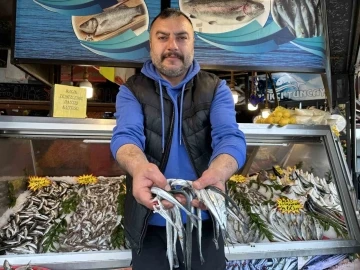 Fosforuyla ünlü Zargana balığı tezgahlarda yerini almaya başladı
