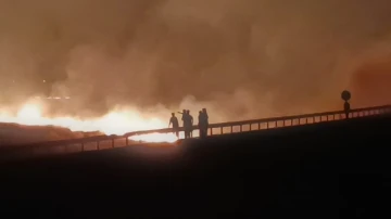 Gaziantep’te orman yangını
