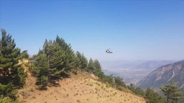 Gaziantep'te çıkan yangında 3 hektar alan zarar gördü