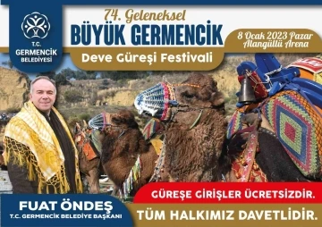 Germencik’te deve güreşi hazırlıkları sürüyor
