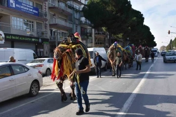 Germencik’te pehlivan develer görücüye çıktı
