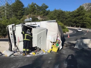 Gıda taşıyan kamyon kaza yaptı, 2 yaralı
