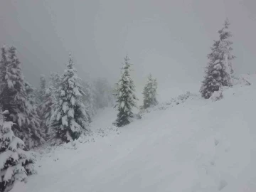 Giresun’un yüksek kesimlerinde kar yağışı etkili oldu
