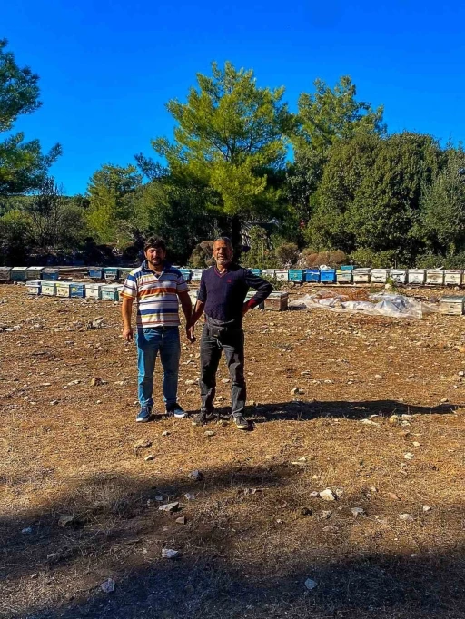 Gökbel’de kovan tespit çalışmaları sürüyor
