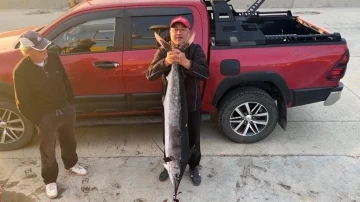 Gökçeada açıklarında 2 metre boyunda, 50 kiloluk Merlin balığı vurdu
