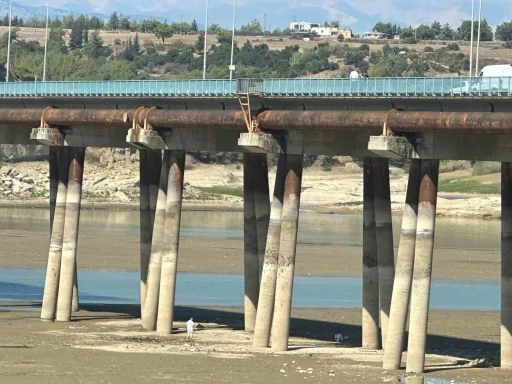 Gölde el bombası çıktı
