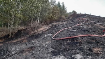 Gümüşhane’de iki köyde yangın paniği
