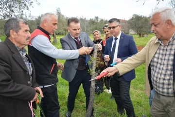 Hacıarslanlar Mahallesi’nde aşılama teknikleri projesi uygulamalı olarak gerçekleştirildi
