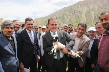 Hakkari’de 200 besiciye 4 bin küçükbaş hayvan dağıtımına başlandı
