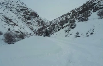 Hakkari’de 59 köy ve 181 mezra yolu kapandı
