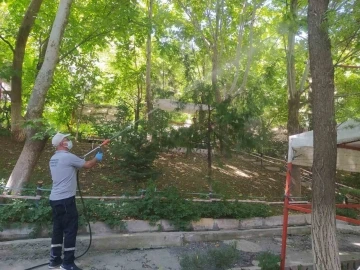 Hakkari’de haşere ile mücadele devam ediyor
