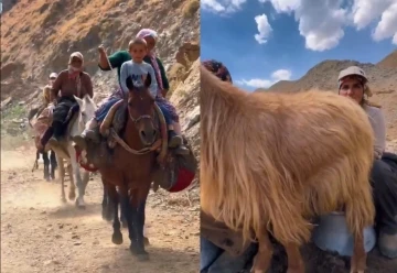 Hakkari Valiliğinden Berivan paylaşımı
