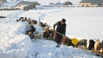 Hakkari'de karla kaplı köylerde günlük yaşam zorlu geçiyor