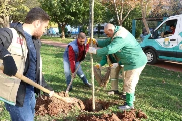 Haliliye’de peyzaj çalışmaları ile parklar yeşilleniyor