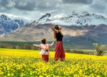 Hardal çiçekleri Tunceli’yi sarıya boyadı, ortaya eşsiz manzaralar çıktı
