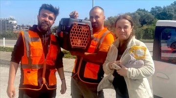 Hasarlı binadan çıkmayan kedi bodrum katta biriken suların içinden kurtarıldı