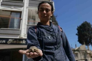 Hatay’da depremzede, ağır hasarlı evine girdiğinde gözlerine inanamadı
