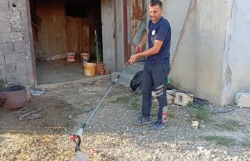 Hatay’da korkutan yılan yakalanarak doğaya bırakıldı