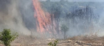 Hatay’da makilik arazi yangını söndürüldü
