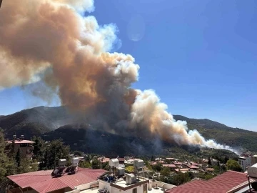 Hatay’da orman yangını
